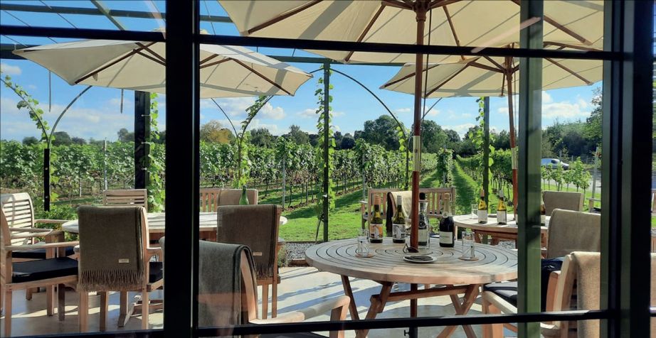 Dunesforde Vineyard Experience